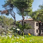 Elli * סקופלוס טאון