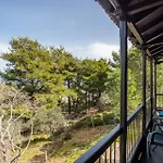 Elli סקופלוס טאון