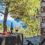 Elli סקופלוס טאון