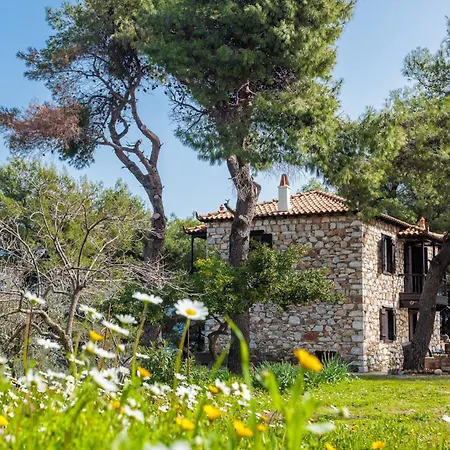 Elli * Skopelos Town