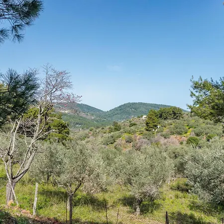 Elli סקופלוס טאון