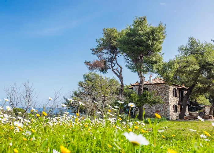 Case de vacanță Elli Skopelos