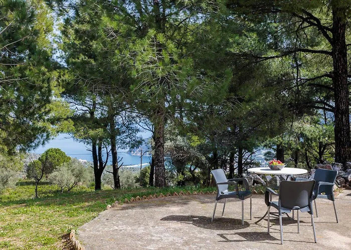 Elli Case de vacanță *